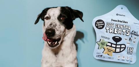 The-Causes-Concerns-of-Bad-Breath-in-Cats-Dogs GoNorth