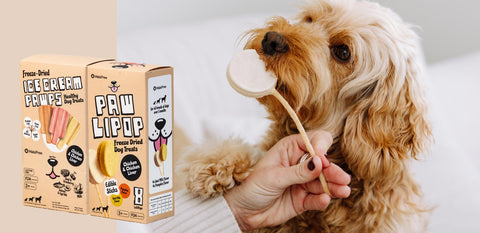 Building-Trust-Bonding-with-Cats-Dogs GoNorth