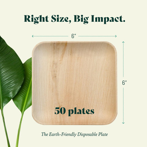 Chic Leaf Palm Leaf Plates Bulk – 6" Chic Leaf