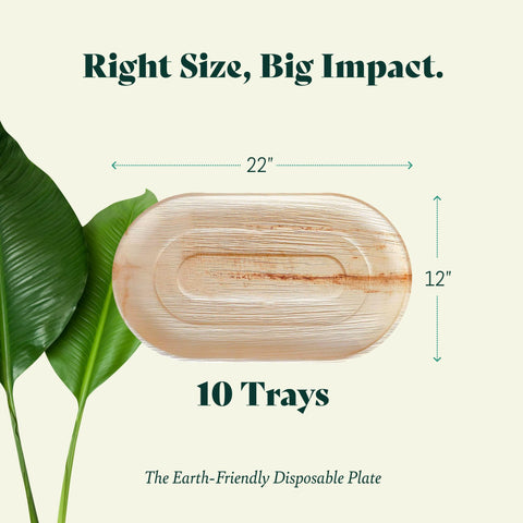 Chic Leaf Palm Leaf Trays – 10 Pack 22x12" Chic Leaf