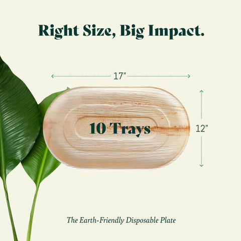 Chic Leaf Palm Leaf Trays – 10 Pack 22x12" Chic Leaf