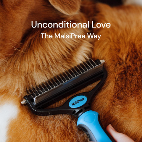 MalsiPree Pet Grooming Brush Tool- Large Malsipree