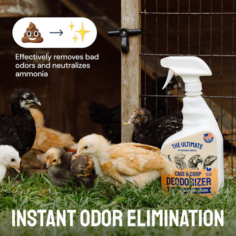 Ultimate Chicken Cage Coop & Yard Deodorizer (32 oz) | Hatortempt