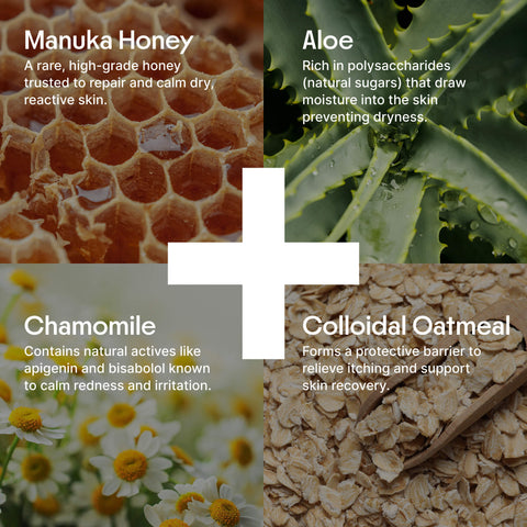 Clearbody Organics Organic Honey Eczema Cream Clearbody Organics