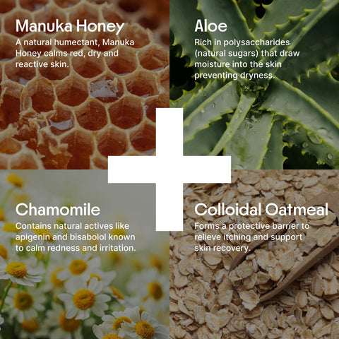 Clearbody Organics Organic Honey Eczema Cream Clearbody Organics