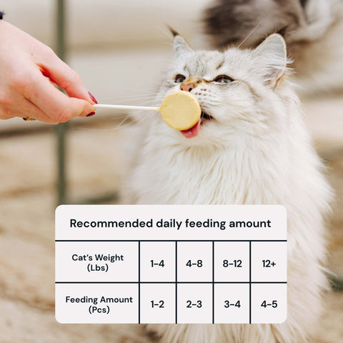 MalsiPree Pawlipop (18 Pcs): Freeze-Dried Cat Lollipop Treats with Chicken Malsipree