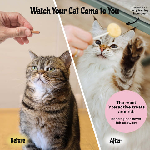 MalsiPree Pawlipop (18 Pcs): Freeze-Dried Cat Lollipop Treats with Chicken Malsipree