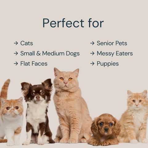 MalsiPree Pet Feeder Station With Bowls Malsipree