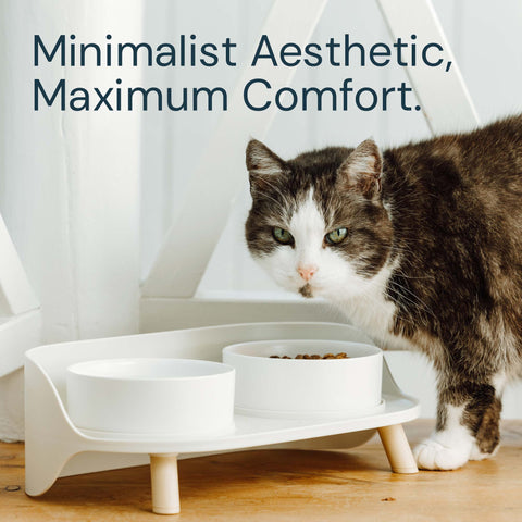 MalsiPree Pet Feeder Station With Bowls Malsipree