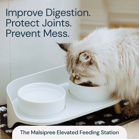 MalsiPree Pet Feeder Station With Bowls Malsipree