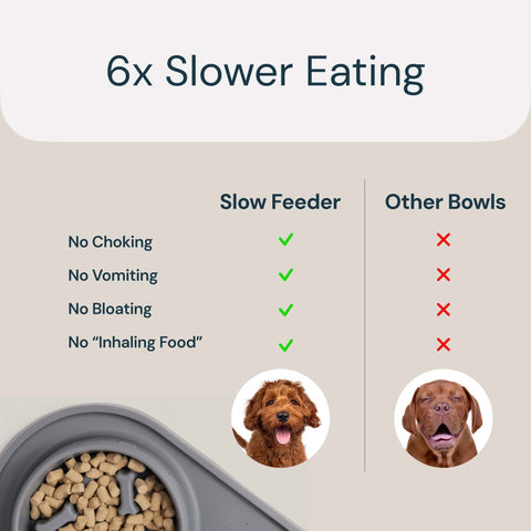 MalsiPree Slow Feeder Bowl Malsipree