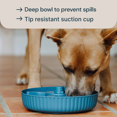 MalsiPree Spinning Slow Feeder Bowl Malsipree