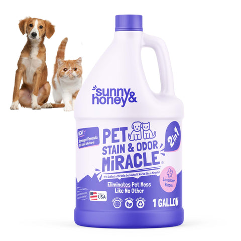 Sunny & Honey Pet Stain & Odor Remover 1 Gal Sunny & Honey