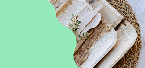 Shop Disposable Dinnerware