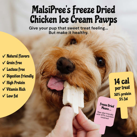 MalsiPree Ice Cream Pawps (15 Pcs): Freeze-Dried Dog Popsicle Treats Malsipree