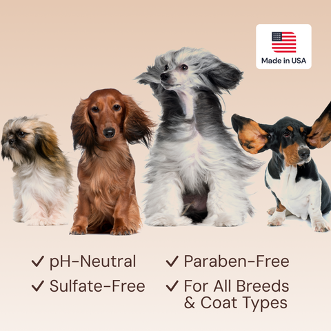 Sunny & Honey Dog Furfume: Dog Deodorizing Spray for Sensitive Skin (2-Pack) Sunny & Honey
