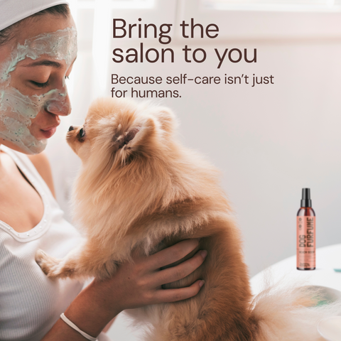 Sunny & Honey Dog Furfume: Dog Deodorizing Spray for Sensitive Skin (2-Pack) Sunny & Honey