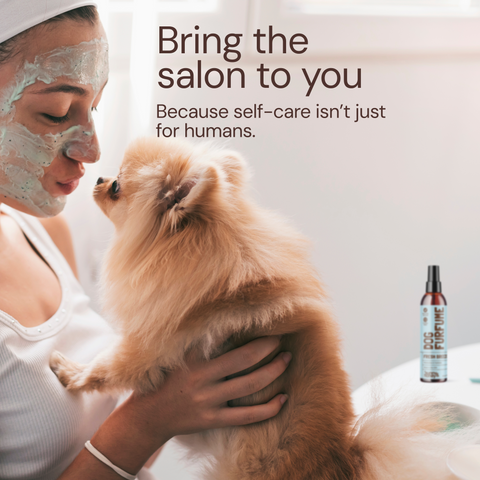 Sunny & Honey Dog Furfume: Dog Deodorizing Spray for Sensitive Skin (2-Pack) Sunny & Honey