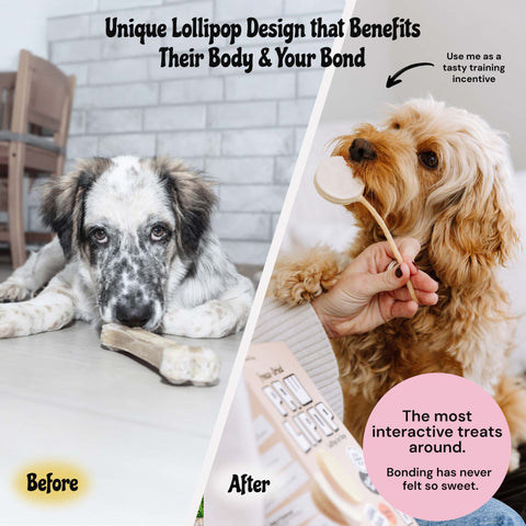 MalsiPree Pawlipop (8 Pcs): Freeze-Dried Dog Lollipop Treats for Training Malsipree