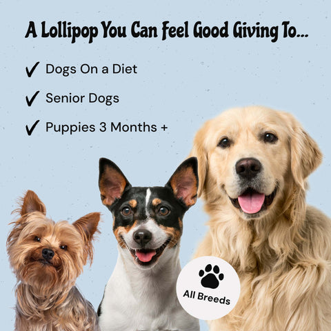 MalsiPree Ice Cream Pawps (15 Pcs): Freeze-Dried Dog Popsicle Treats Malsipree