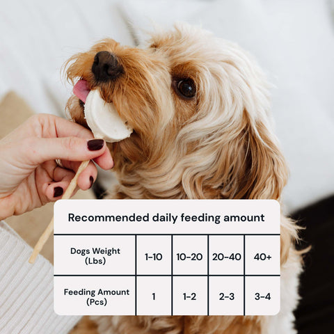 MalsiPree Pawlipop (8 Pcs): Freeze-Dried Dog Lollipop Treats for Training Malsipree