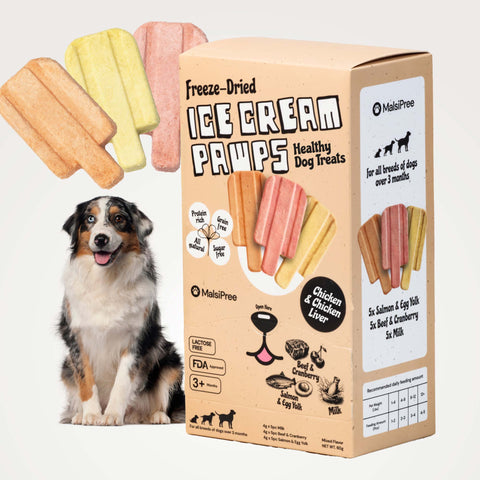 MalsiPree Ice Cream Pawps (15 Pcs): Freeze-Dried Dog Popsicle Treats Malsipree