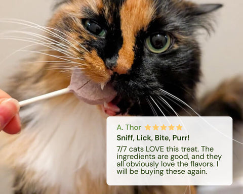 Calico cat eating a MalsiPree cat lollipop treat with a five-star rating text overlap.