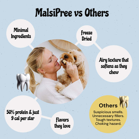 MalsiPree Dog Dental Stars (18 Pcs): Freeze-Dried Treats for Bad Breath Malsipree