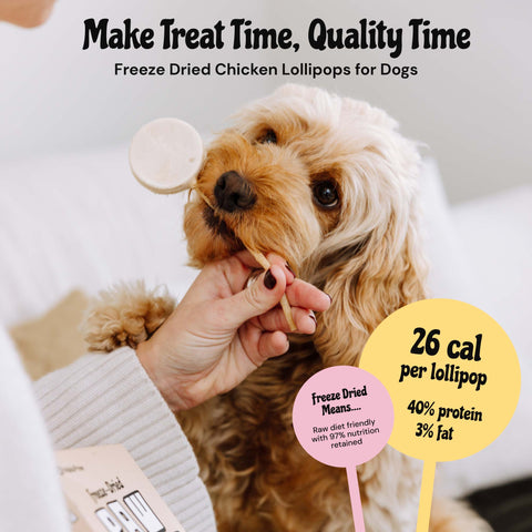 MalsiPree Pawlipop (8 Pcs): Freeze-Dried Dog Lollipop Treats for Training Malsipree
