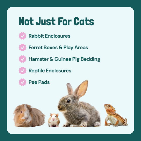 Sunny & Honey Cat Litter Miracle: Fragrance-Free Deodorizer Spray (32 oz) Sunny & Honey