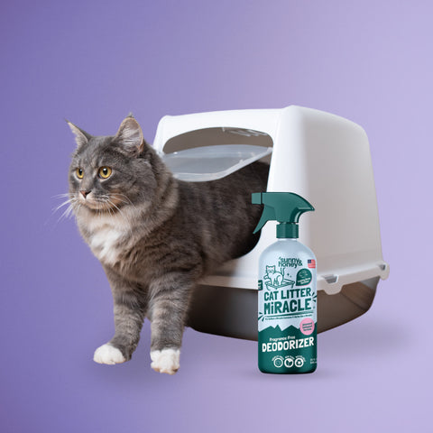 Cat standing next to a litter box and a bottle of cat litter deodorizer on a purple background