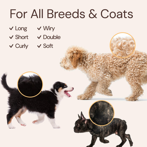 Sunny & Honey Dog Bathing Kit: Bath Time Freshness & Beyond Sunny & Honey