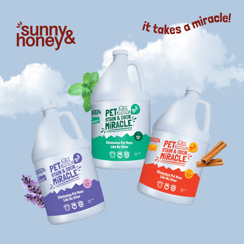 Sunny & Honey Pet Stain & Odor Remover 1 Gal Sunny & Honey