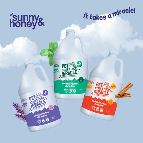 Sunny & Honey Pet Stain & Odor Remover 1 Gal Sunny & Honey