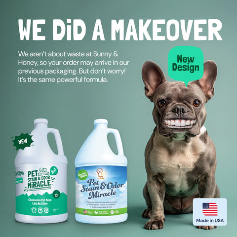 Sunny & Honey Pet Stain & Odor Remover 1 Gal Sunny & Honey