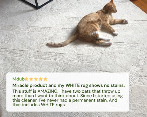 Cat lying on a white rug with a positive review overlay