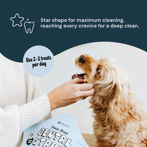 MalsiPree Dog Dental Stars (18 Pcs): Freeze-Dried Treats for Bad Breath Malsipree