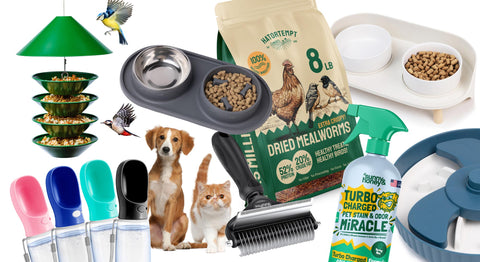 Pet-gift-guide GoNorth