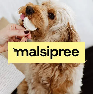 Malsipree-Pet-s-Best-Friend GoNorth