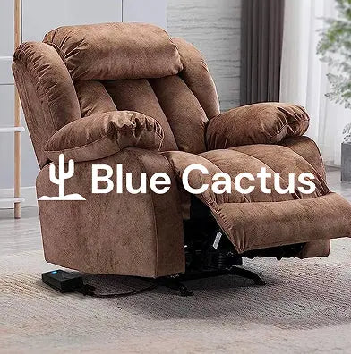 Blue-Cactus-Reclining-Furniture-Care GoNorth