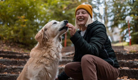 Dog-Treats GoNorth