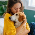Sunny & Honey Dog Furfume: Dog Deodorizing Spray for Sensitive Skin (2-Pack) Sunny & Honey