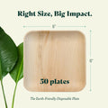 Chic Leaf Palm Leaf Plates Bulk – 6" Chic Leaf