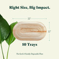 Chic Leaf Palm Leaf Trays – 10 Pack 22x12" Chic Leaf