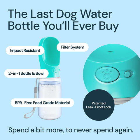 MalsiPree Dog Water Bottle With Bowl- 19oz Malsipree