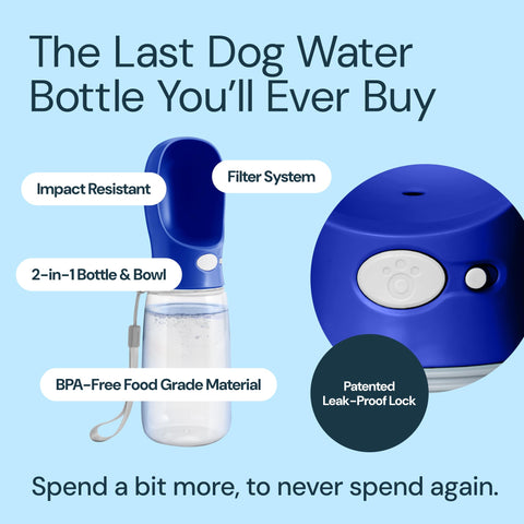 MalsiPree Dog Water Bottle With Bowl- 19oz Malsipree
