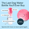MalsiPree Dog Water Bottle With Bowl- 12oz Malsipree