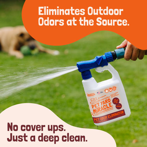 Outdoor Artificial Turf Deodorizer for Dogs (Pet & Kid-Safe) Sunny & Honey