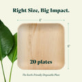 Square, Biodegradable Palm Leaf Party Plates (Bulk) Chic Leaf