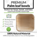 Compostable Palm Leaf Square Bowls for Parties Chic Leaf